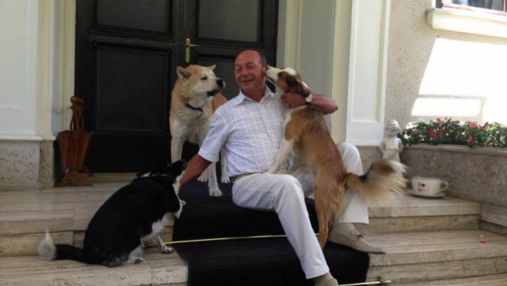 Traian Băsescu, pupat de câinii familiei. "Dacă îi iubeşti cu adevărat, îi iei acasă!" (FOTO)