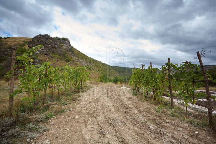 O pensiune agroturistică este construită ILEGAL în inima rezervaţiei naturale Orheiul Vechi (VIDEO/FOTO)