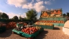 Minunăţii din dovleci. Un fermier britanic a creat opere de artă pe acoperişul casei sale VIDEO
