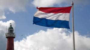 Olanda a dat în judecată Federaţia Rusă. Află din ce motiv