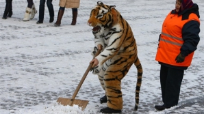 În Ucraina a nins în mijocul toamnei. Prima zăpadă a căzut şi la Kiev (VIDEO)