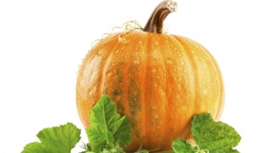 Proprietarul unui dovleac, premiat cu circa 12 mii de dolari. Cât cântăreşte faimoasa legumă