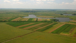 Doar 5% din teritoriul UE este acoperit cu clădiri şi drumuri. IATĂ ţările cu cele mai multe păduri şi terenuri agricole