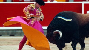 Proteste faţă de coride în Peru: Sute de activişti au cerut interzicerea luptelor cu tauri