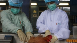 Un nou caz de îmbolnăvire de gripă aviară, înregistrat în China 