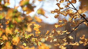 Vreme frumoasă în toată ţara, cu soare pe cer şi fără ploi