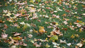 Vreme frumoasă în nordul ţării şi ploi slabe în centru şi în sud