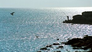 Marea Mediterană, transformată în Marea "Morţii" pentru imigranţi. Sute de oameni şi-au găsit sfârşitul în apele sale