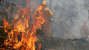 Un incendiu de pădure s-a extins pe teritoriul unei baze militare din SUA