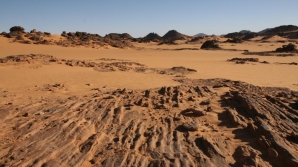 Aproape 90 de migranţi care se îndreptau spre Europa şi-au găsit moartea în deşertul Sahara