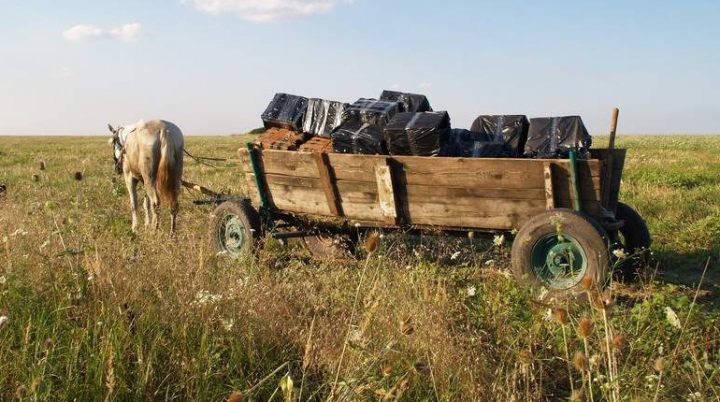 O căruţă bucşită cu ţigări de contrabandă, oprită la frontiera moldo-română cu focuri de armă