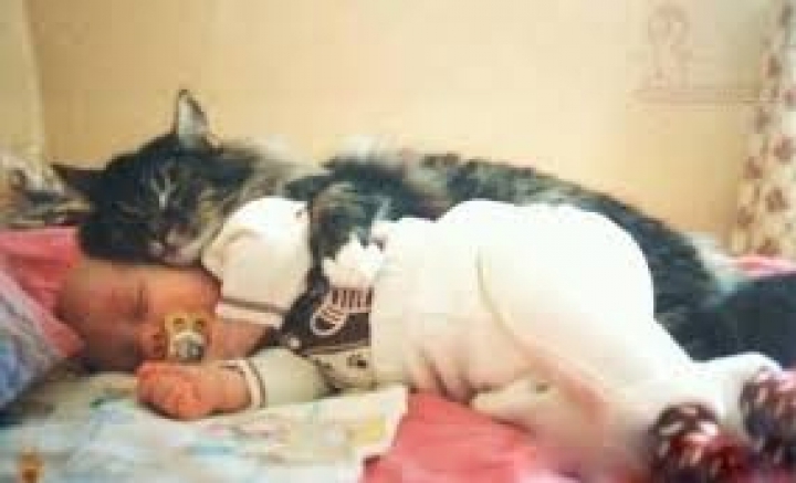 Cele mai haioase poziţii în care dorm bebeluşii GALERIE FOTO