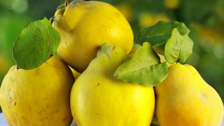 De ce este bine să mănânci gutuie