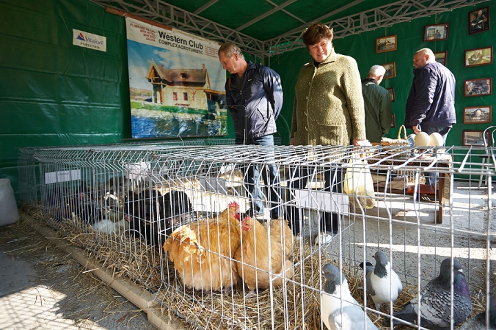 Tractoare Lamborghini, automobile de lux şi animale exotice. Centrul Moldexpo a fost lăsat pe mâna fermierilor (FOTO/VIDEO)