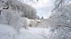 PUBLIKA WORLD. Ninsori abundente în Germania. Drumuri îngropate în zăpadă și zeci de zboruri anulate (VIDEO)