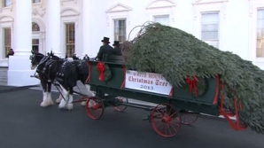 Casa Albă a intrat oficial în febra pregătirilor pentru sărbătorile de iarnă (VIDEO)
