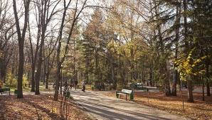 Maximele termice scad simţitor, iar vântul va sufla din nou cu putere