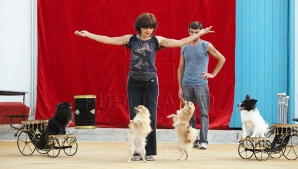 Mai mulţi oameni au adus hrană pentru animalele de la Circul din Chişinău. Dresorii, impresionaţi până la lacrimi (VIDEO)