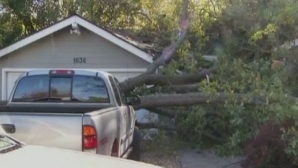 Condiţiile meteo extreme din SUA au făcut deja 13 morţi. "Este o nebunie totală" (VIDEO)