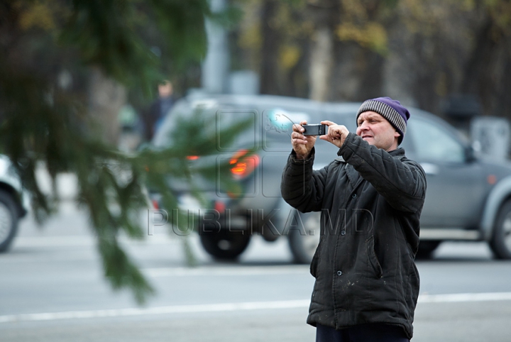 (FOTO/VIDEO) Principalul Pom de Crăciun al ţării a ajuns în PMAN. Autorităţile promit că va fi inaugurat pe 1 decembrie