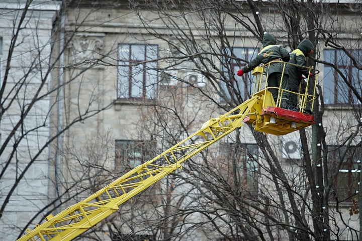 (FOTO/VIDEO) Principalul Pom de Crăciun al ţării a ajuns în PMAN. Autorităţile promit că va fi inaugurat pe 1 decembrie