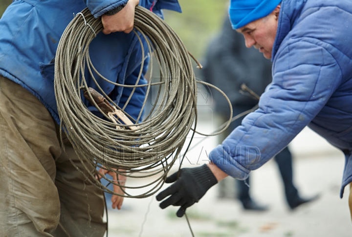 (FOTO/VIDEO) Principalul Pom de Crăciun al ţării a ajuns în PMAN. Autorităţile promit că va fi inaugurat pe 1 decembrie