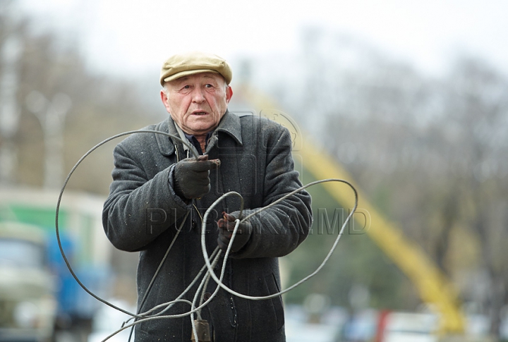 (FOTO/VIDEO) Principalul Pom de Crăciun al ţării a ajuns în PMAN. Autorităţile promit că va fi inaugurat pe 1 decembrie