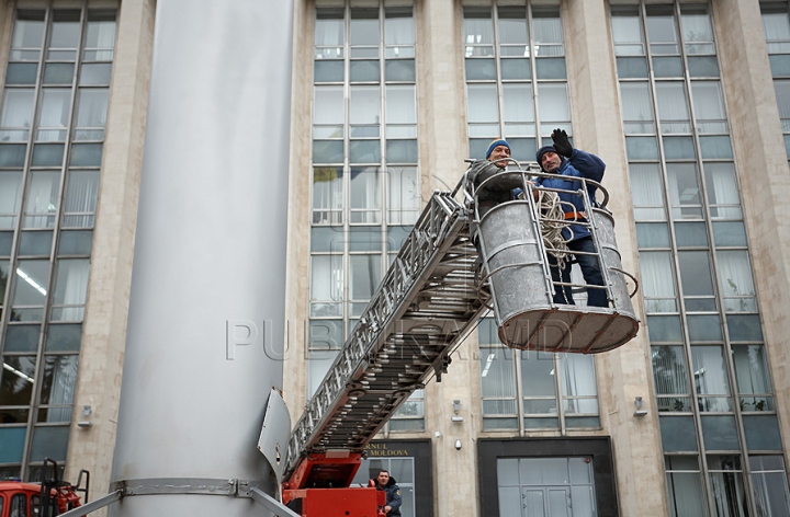 (FOTO/VIDEO) Principalul Pom de Crăciun al ţării a ajuns în PMAN. Autorităţile promit că va fi inaugurat pe 1 decembrie