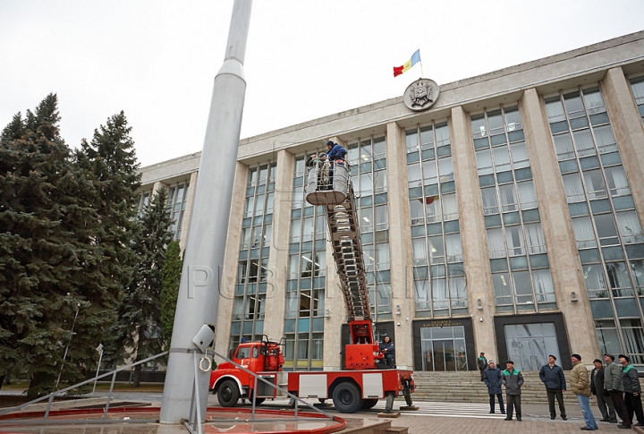 (FOTO/VIDEO) Principalul Pom de Crăciun al ţării a ajuns în PMAN. Autorităţile promit că va fi inaugurat pe 1 decembrie