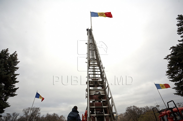 (FOTO/VIDEO) Principalul Pom de Crăciun al ţării a ajuns în PMAN. Autorităţile promit că va fi inaugurat pe 1 decembrie