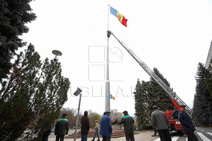 (FOTO/VIDEO) Principalul Pom de Crăciun al ţării a ajuns în PMAN. Autorităţile promit că va fi inaugurat pe 1 decembrie