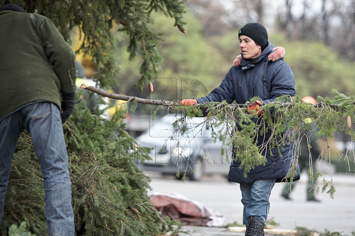 Chişinăul a intrat în febra sărbătorilor de iarnă. Oraşul este îmbrăcat în mii de beculeţe, iar bradul - împodobit cu globuri (FOTO)