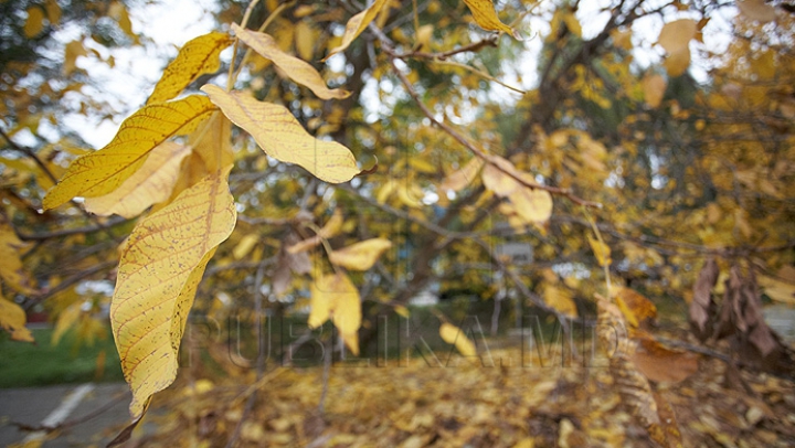 Vreme cu soare şi până la 15 grade în termometre, în următoarele zile