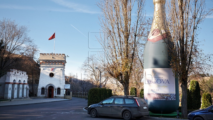 Turismul vinicol în Republica Moldova este în creştere. Oamenii rămân impresionaţi de locurile vizitate (VIDEO/FOTO)