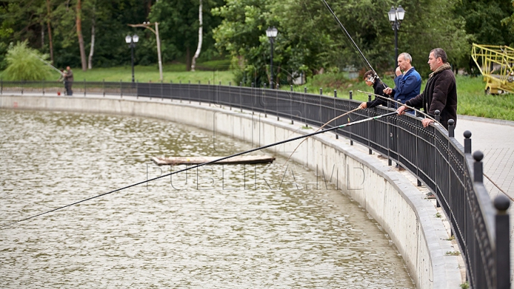 Parcul Valea Morilor ar putea să nu fie reamenajat nici în 2014. Vezi ce împiedică finalizarea proiectului