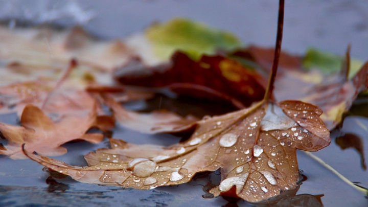 Schimbare bruscă a vremii! Meteorologii au emis Cod Galben