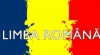 Curtea Constituţională a decis: Limba de stat a Moldovei este cea indicată în Declaraţia de Independenţă - româna