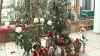 Brazii vedetelor: Cum şi-au împodobit pomul de Crăciun compozitorul Eugen Doga şi interpreta Dara