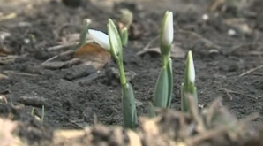 Temperaturile ridicate se menţin şi în următoarele zile. Meteorologii avertizează despre mai multe pericole (VIDEO)