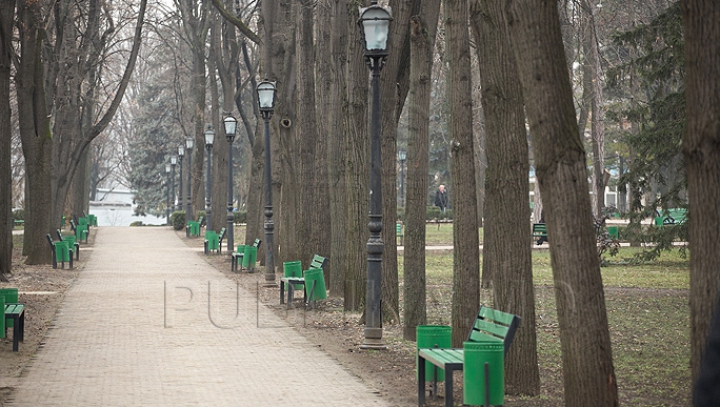 În ajun de Crăciun pe stil nou vremea se încălzeşte. Care vor fi maximele termice în următoarele zile