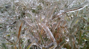 Temperaturile vor scădea, va cădea lapoviţă, iar pe drumuri se va forma polei