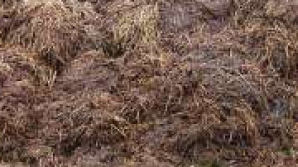 Protest inedit. Un fermier a descărcat câteva tone de bălegar în faţa Parlamentului