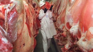 Semne "bune" anul are. Rosselhoznadzor a interzis unei companii din Moldova să exporte carne de bovină şi ovină în Rusia 