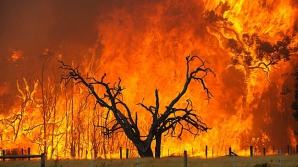 Incendiu de vegetaţie în Australia! Flăcările ameninţă zonele rezidenţiale şi au distrus deja o casă