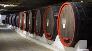 "De ce nu declarăm situaţie excepţională?" Vinificatorii aşteaptă implicarea statului pentru a ieşi din criză (VIDEO)