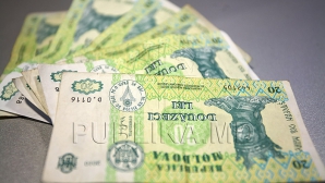 CURSUL VALUTAR: Leul câştigă teren în faţa monedei unice europene