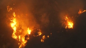 700 de hectare de pădure, făcute scrum în California. Incendiul ar fi început de la un foc de tabără