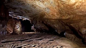 După o pauză de 12 ani, peştera de la Altamira va fi redeschisă