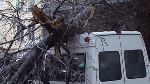 "Este unul dintre cele mai grave accidente de astăzi". O bucată de copac a căzut peste un microbuz cu pasageri (VIDEO)
