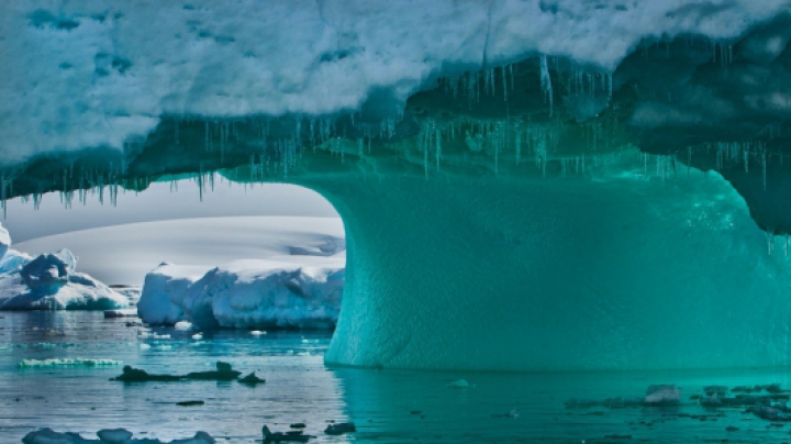 Nimeni nu ştia că există aşa ceva pe Terra. Descoperire UIMITOARE sub gheaţa din Antarctica